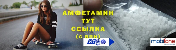 мдпв Осташков