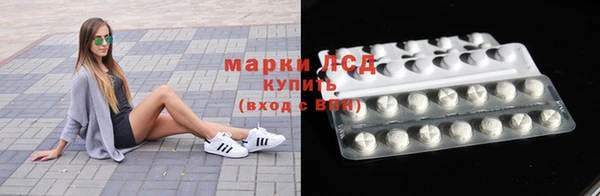 мдпв Осташков