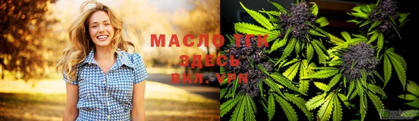 мдпв Осташков
