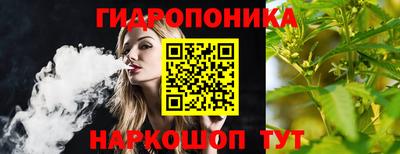 соль ск Рузаевка