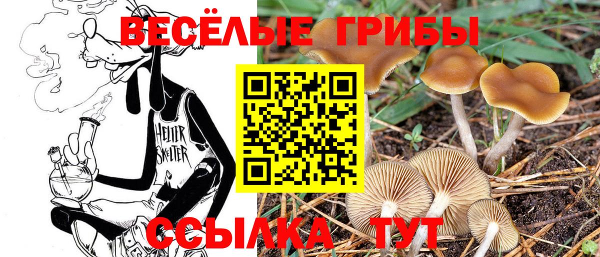 Псилоцибиновые грибы прущие грибы Нижний Тагил