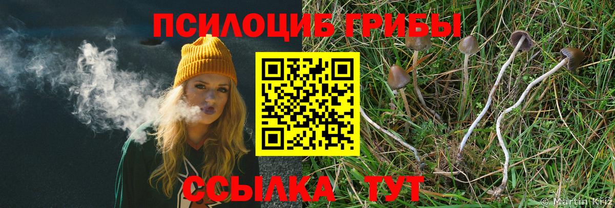 цены   Вход с VPN  Нижний Тагил  Псилоцибиновые грибы мицелий 
